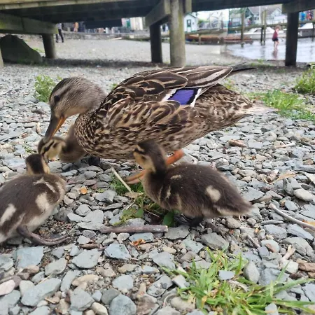 Entire With Free Parking & Fast Wifi Prázdninový dům